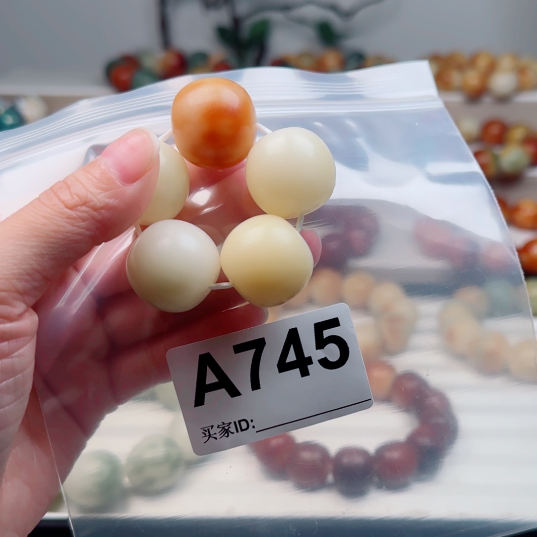 菩提根/象牙果手串22。