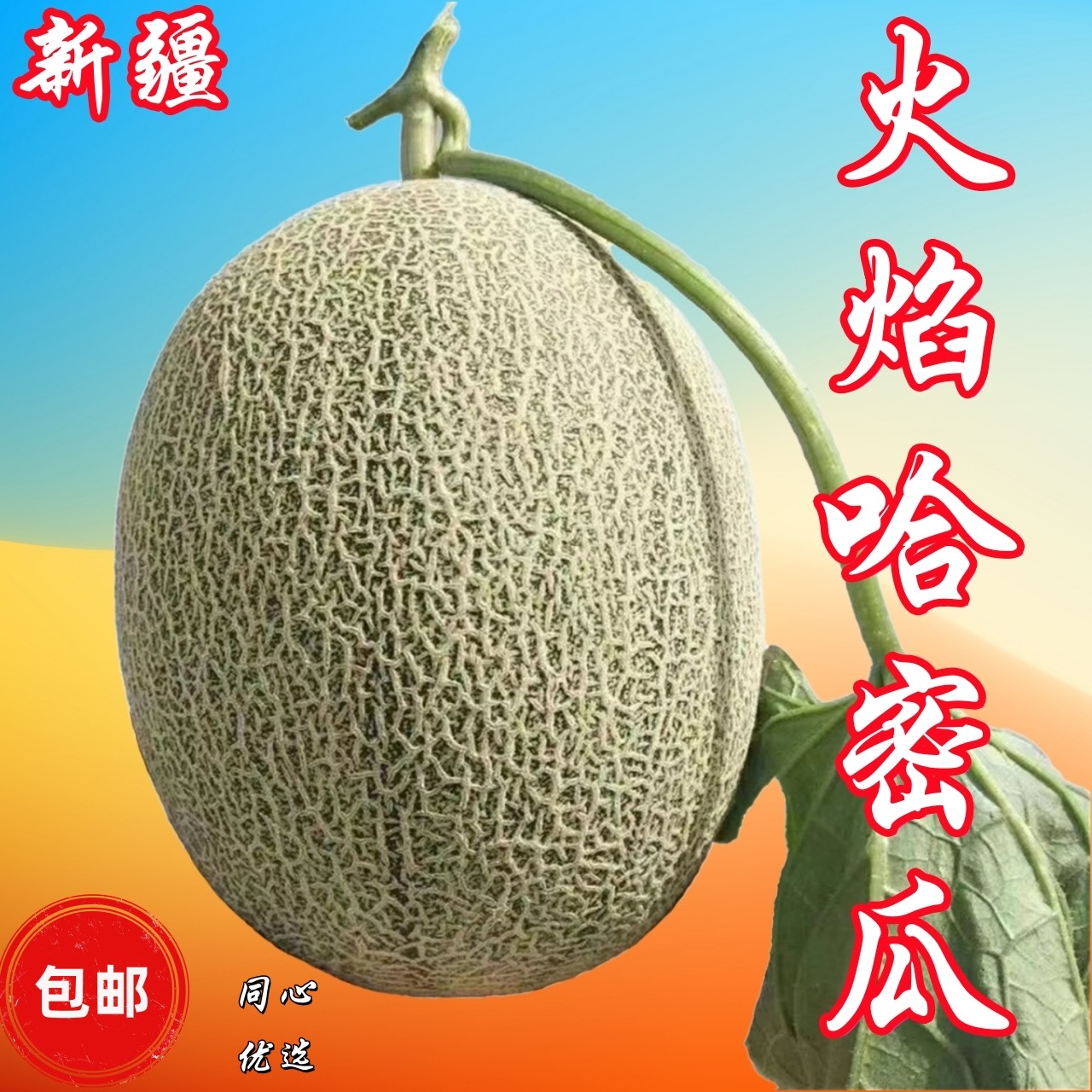 新疆吐鲁番哈密瓜西州蜜17号甜瓜网纹蜜瓜脆甜多汁新鲜现摘现发