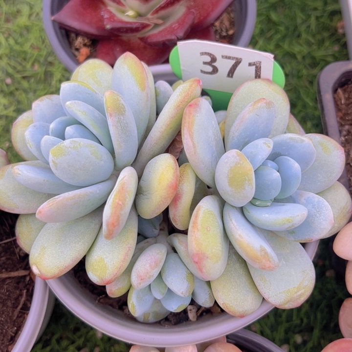 健健康康平平安安