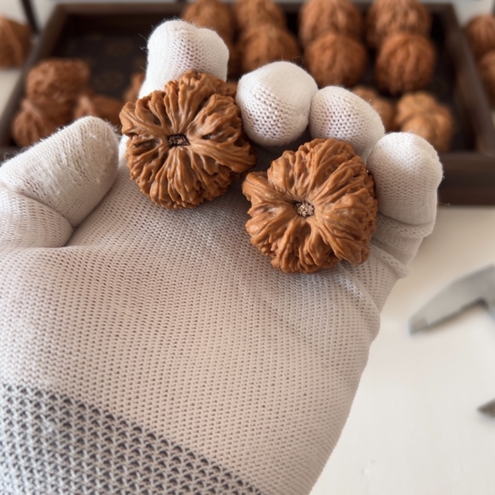 核桃全品南疆无药