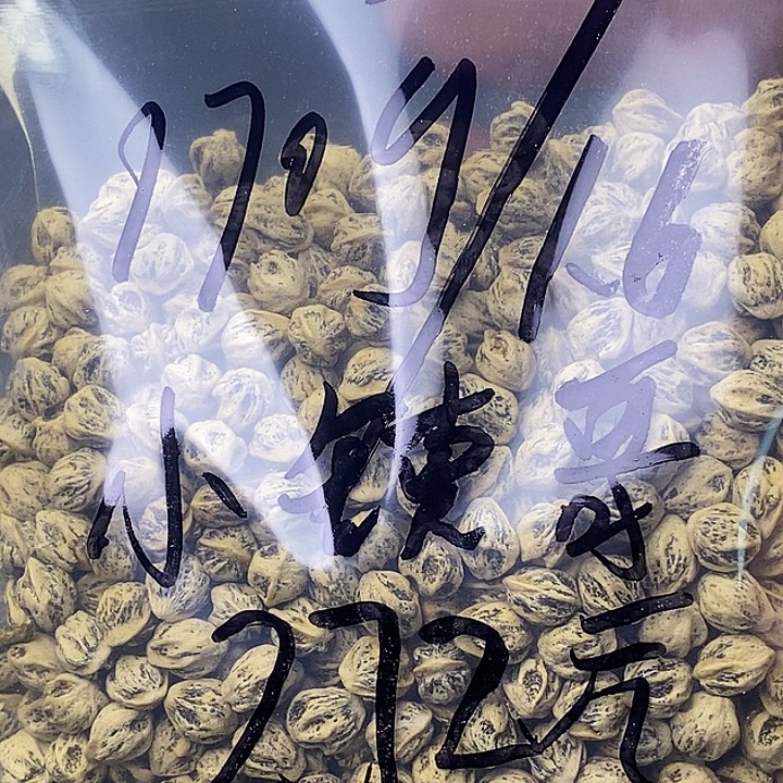 柏香籽/百香籽吊坠