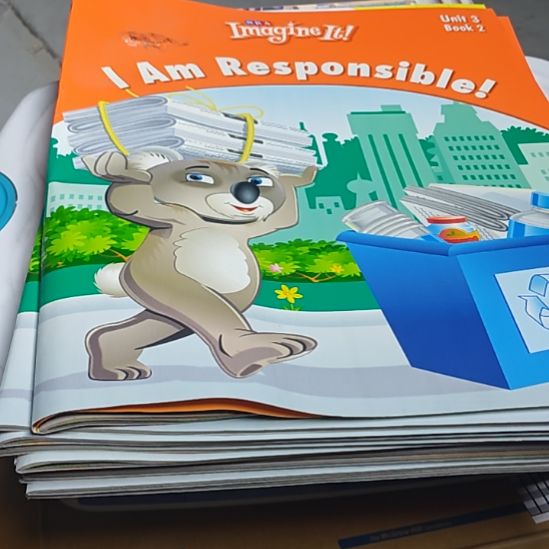 I  AM  RESPONSIBLE库存书