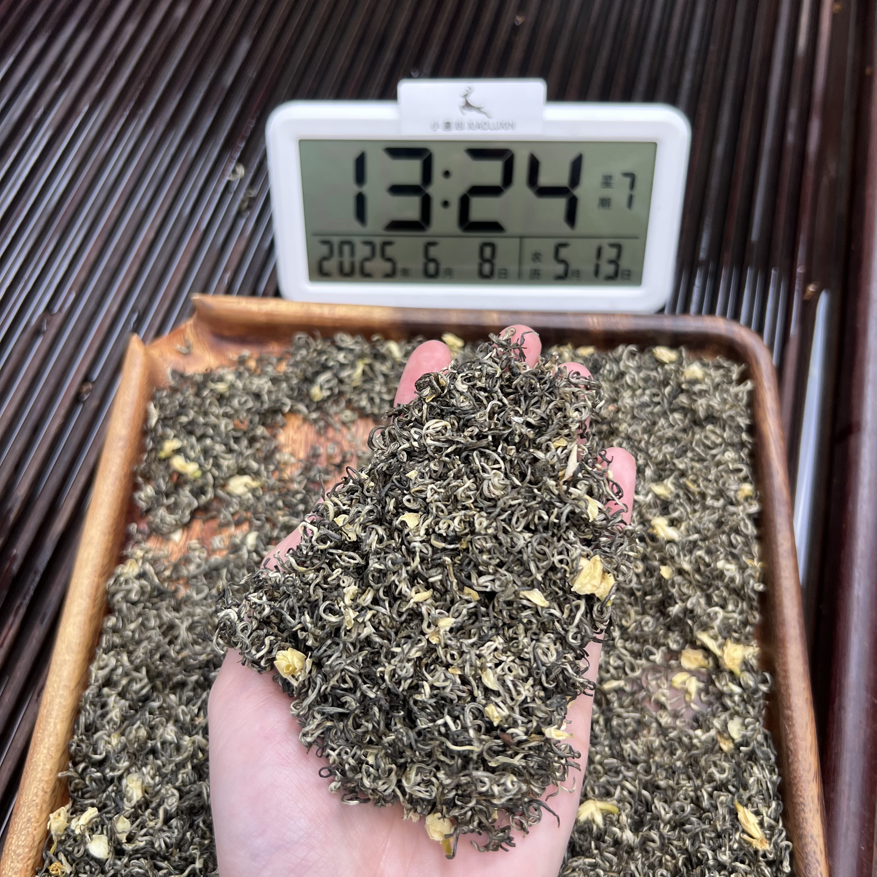 ① 茉莉飘雪  小鹿收茶茉莉绿茶 横县茉莉花  6月8