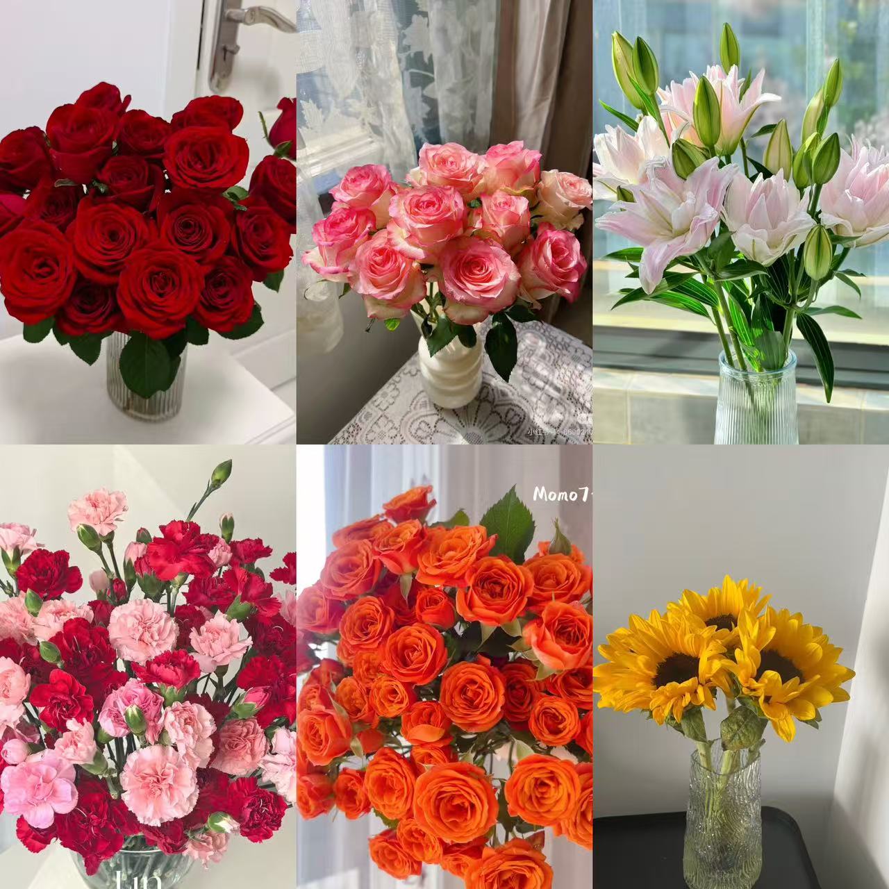 【红玫瑰艾莎百合橙芭比康乃馨组合】云南基地直发鲜切花 家庭摆件