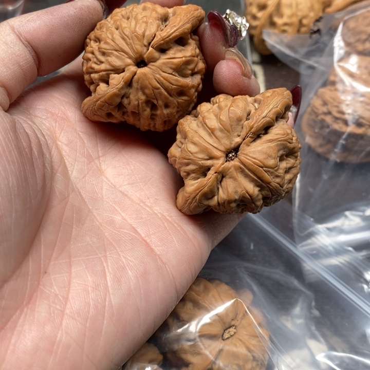 文玩核桃吊坠金公子微修