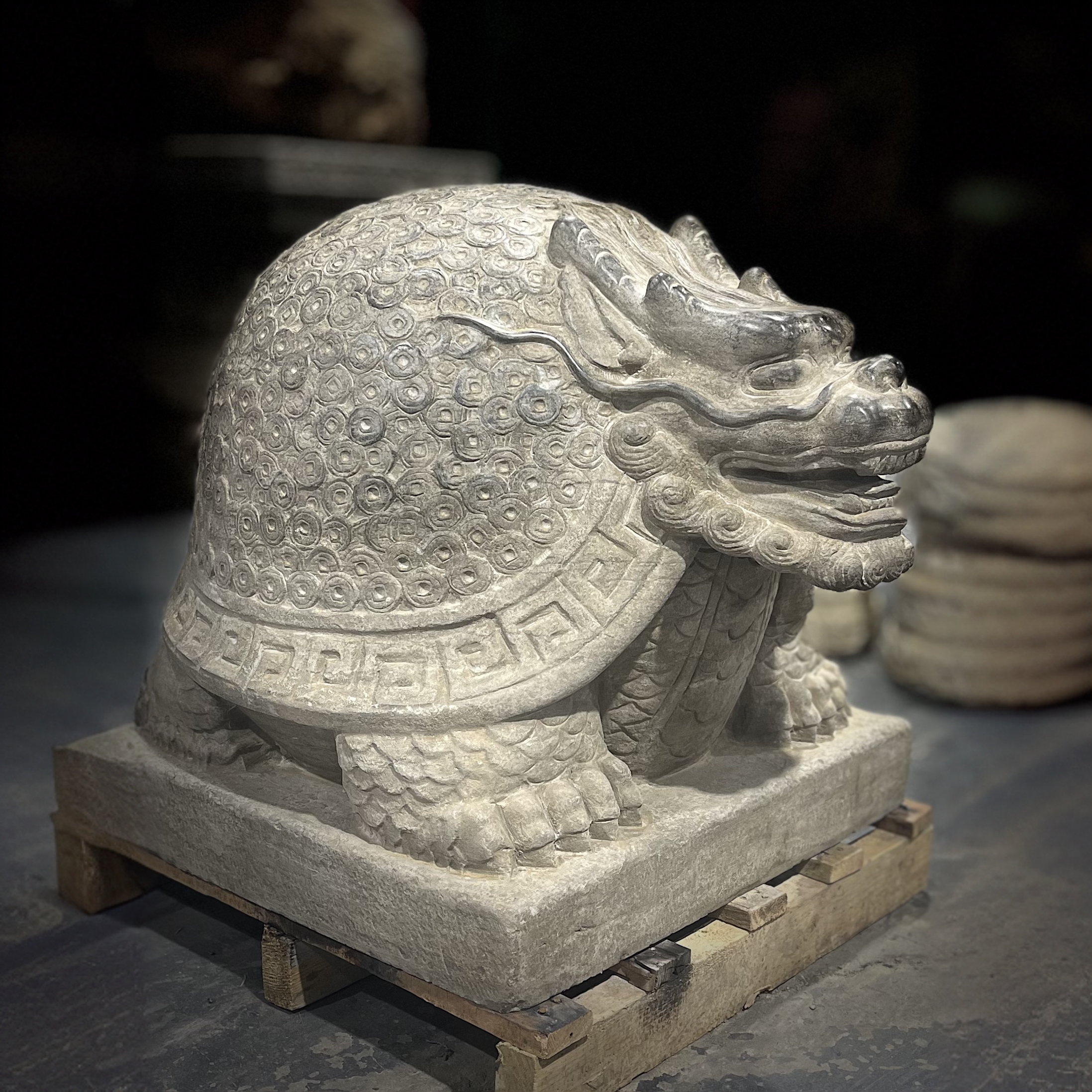 龙龟，又名坝下，龙生九子之一