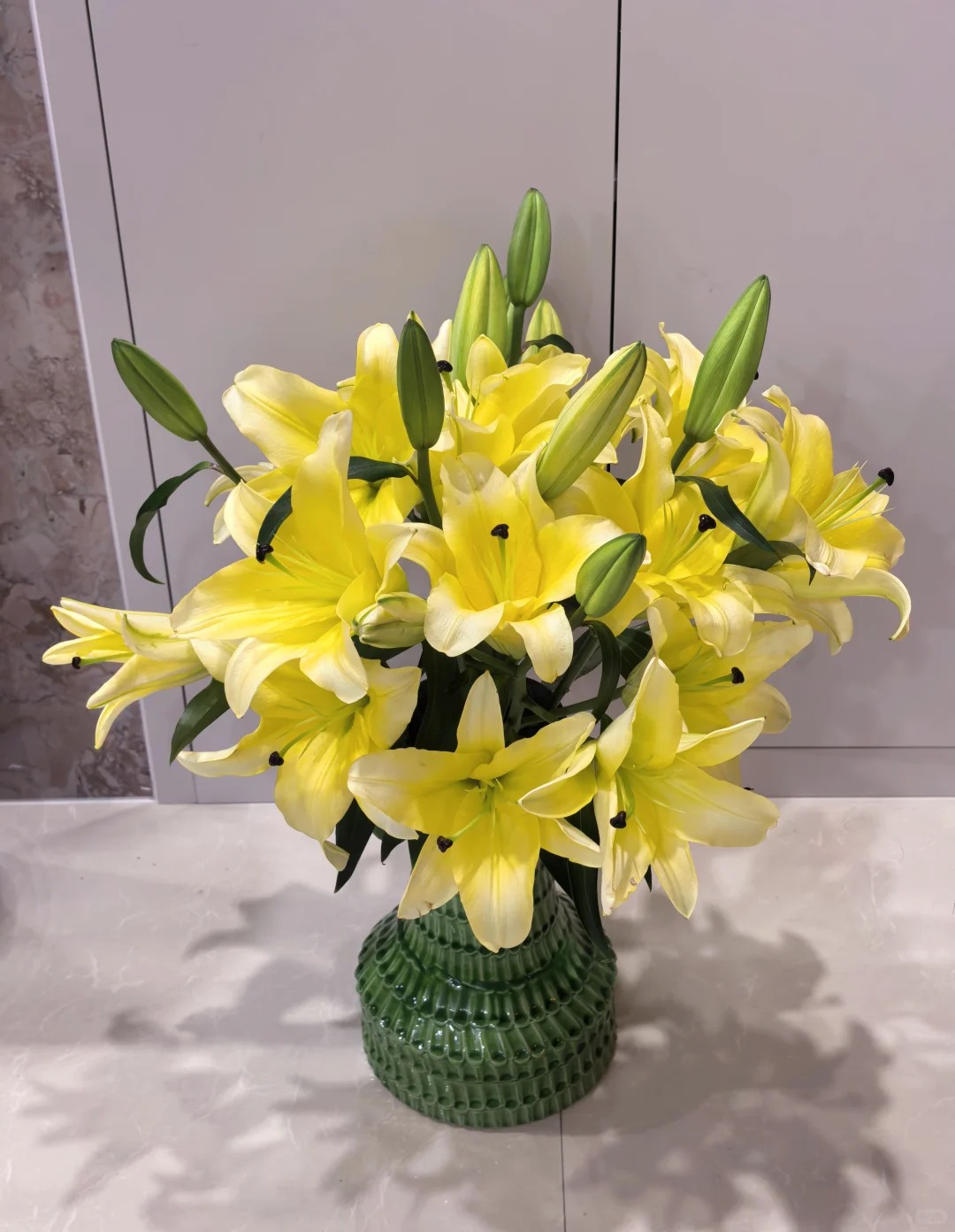 【黄天霸】浓香百合花  A级家用新鲜百合花鲜切花 批发直播包邮 M