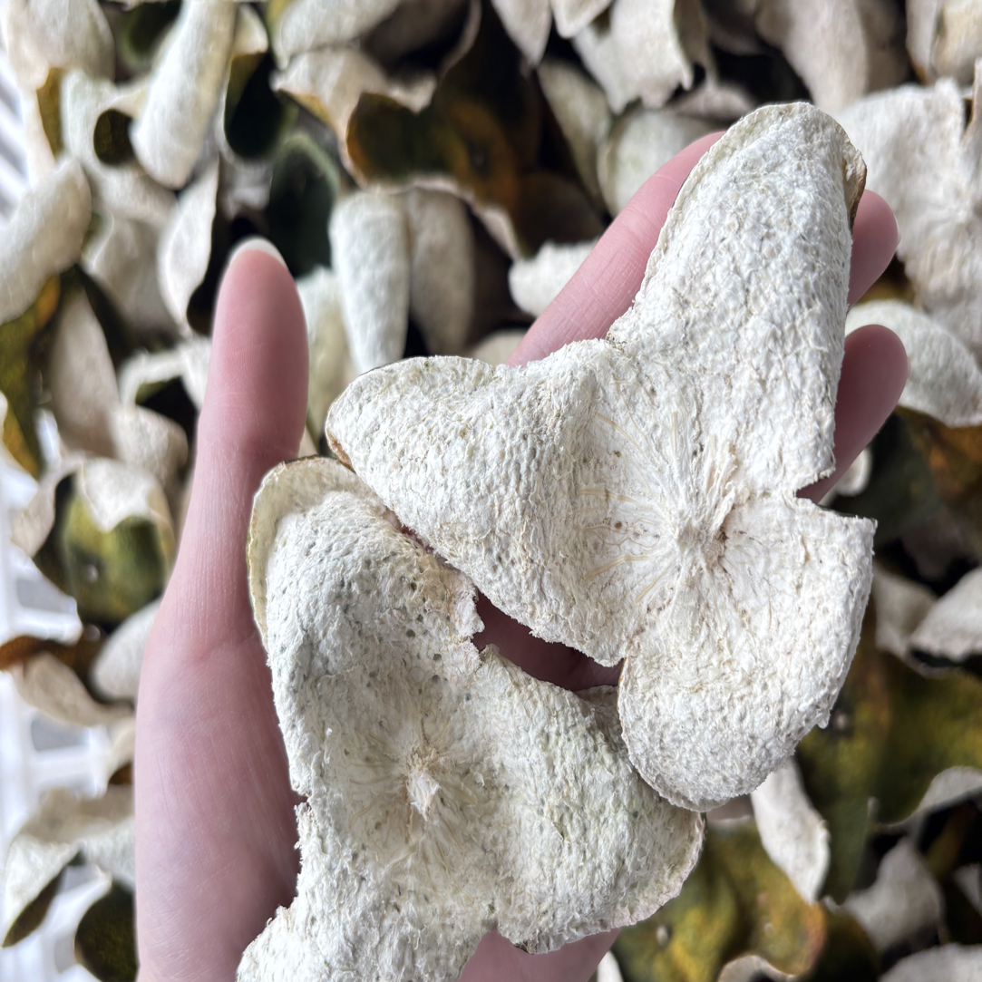 2025年 新会三江原枝二红皮 5年树 香气浓郁 麻感足