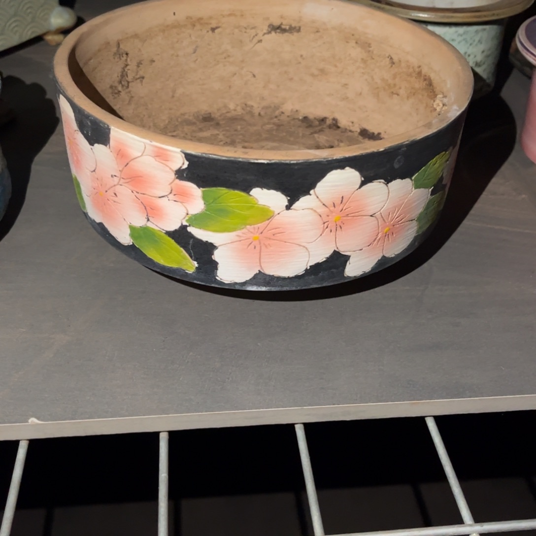 柠*柠檬多肉植物花盆