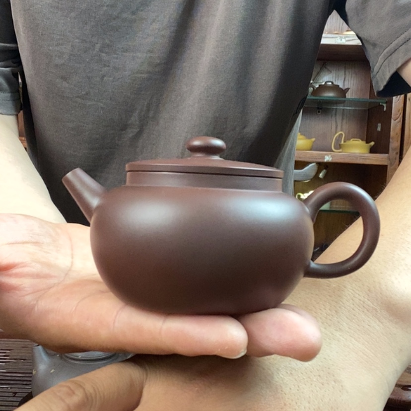 【闪购商品】茶壶紫砂h h h h h h h