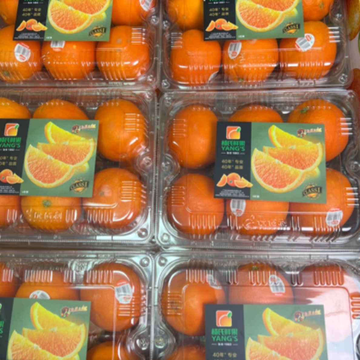 【女神节配送到家】杨氏鲜橙一盒