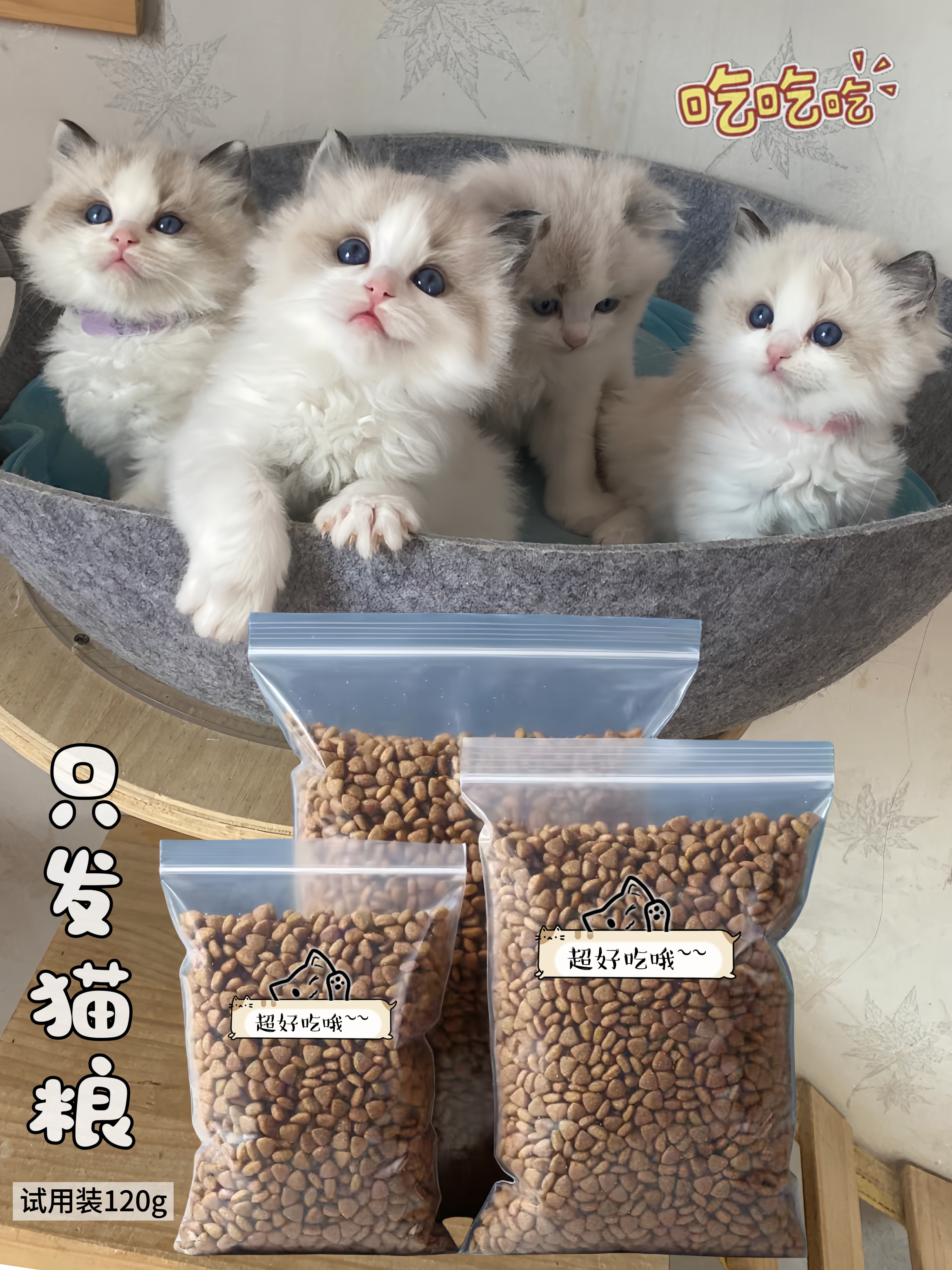 春哥说猫推荐的试用装猫粮