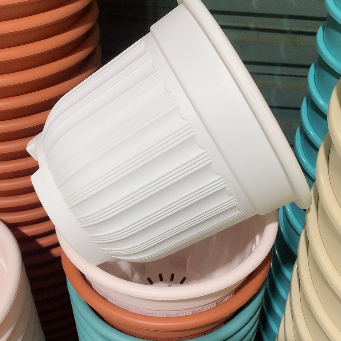 树脂罗马口21白4个无托