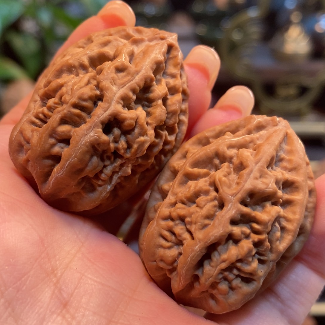 文玩核桃吊坠老树珊瑚纹33