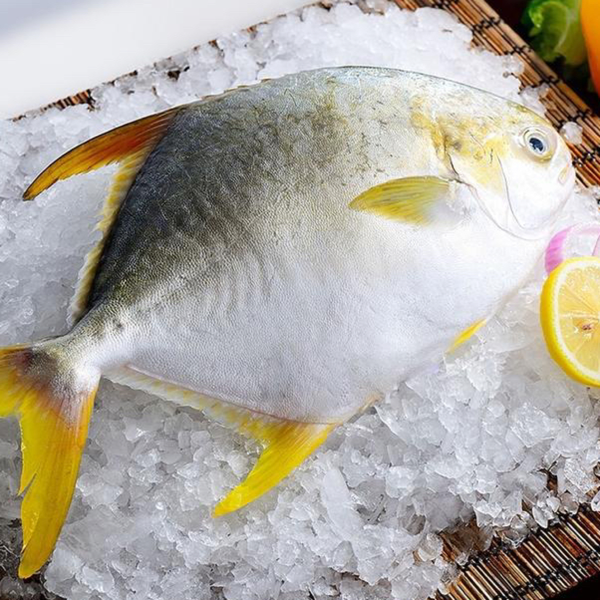 青岛发货 新鲜金鲳鱼速冻保鲜发货，单条400克左右，发货6条