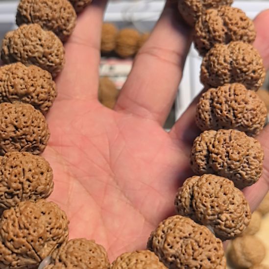 昶***江把件金刚菩提菠萝蜜大金刚夹板手持，全品无黄，