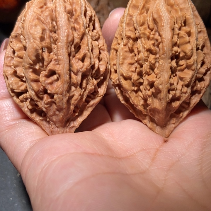 把件文玩核桃东北楸子小雪46