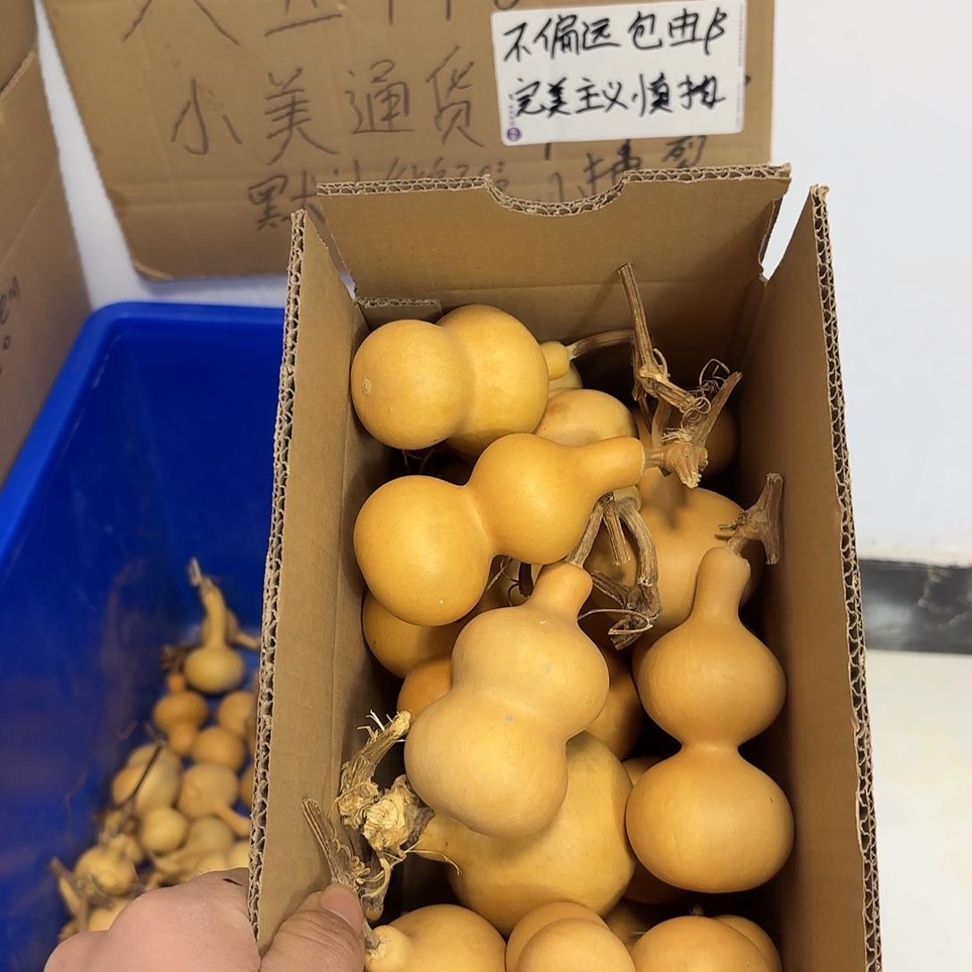中***）伤瑕八宝19.8一箱
