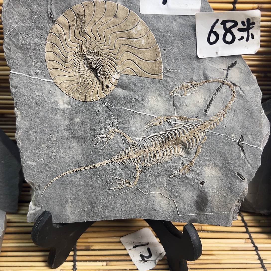 大***林石材贵州沉积岩石头摆件