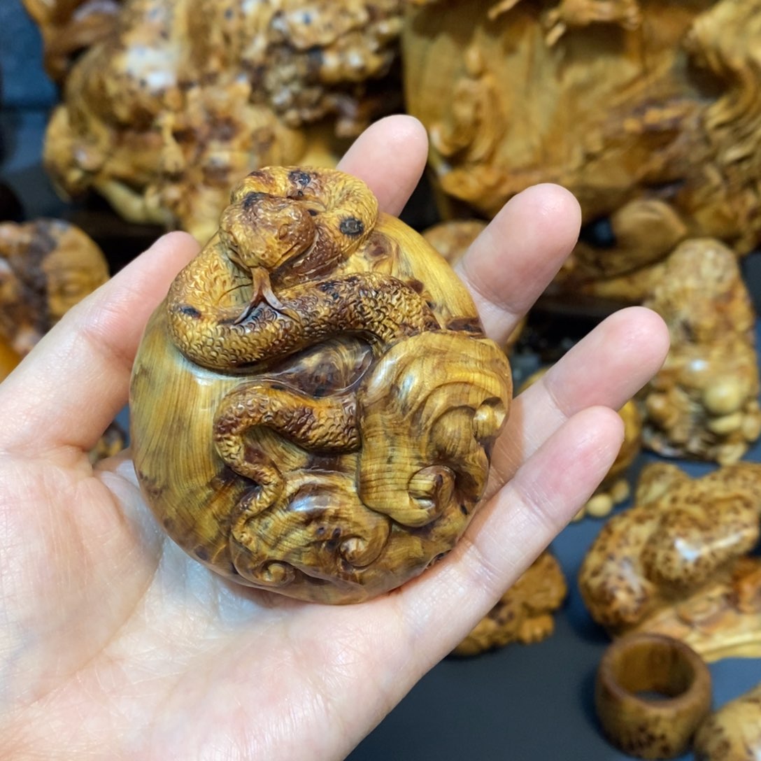 柏木（崖柏）太行崖柏