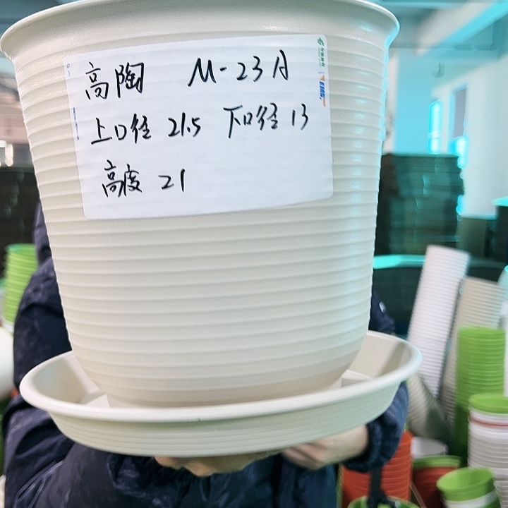 正品高陶口21高21米色带托6只