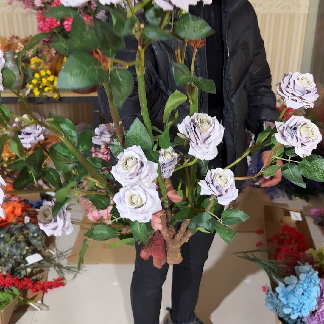 紫色玫瑰树2棵大支