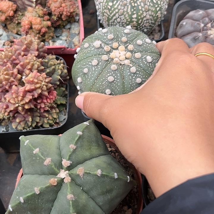 超兜356777888567不6（j