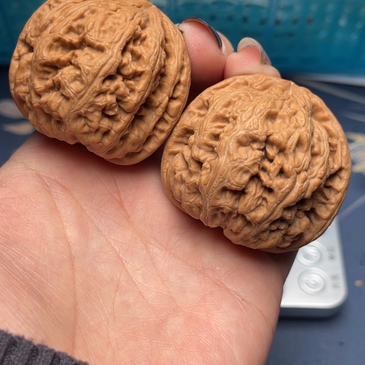 文玩核桃把件粗筋44