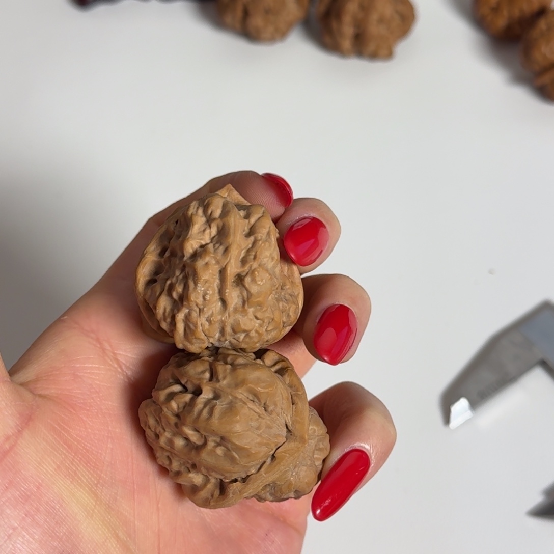 三角蛙蛤蟆头37白茬