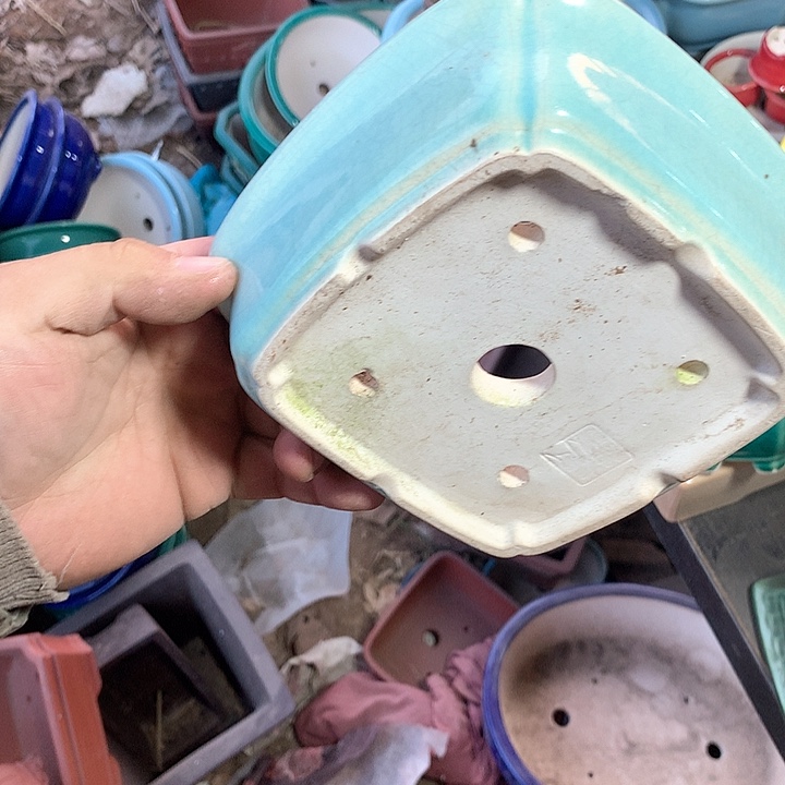 紫砂优秀奖等多人喜欢