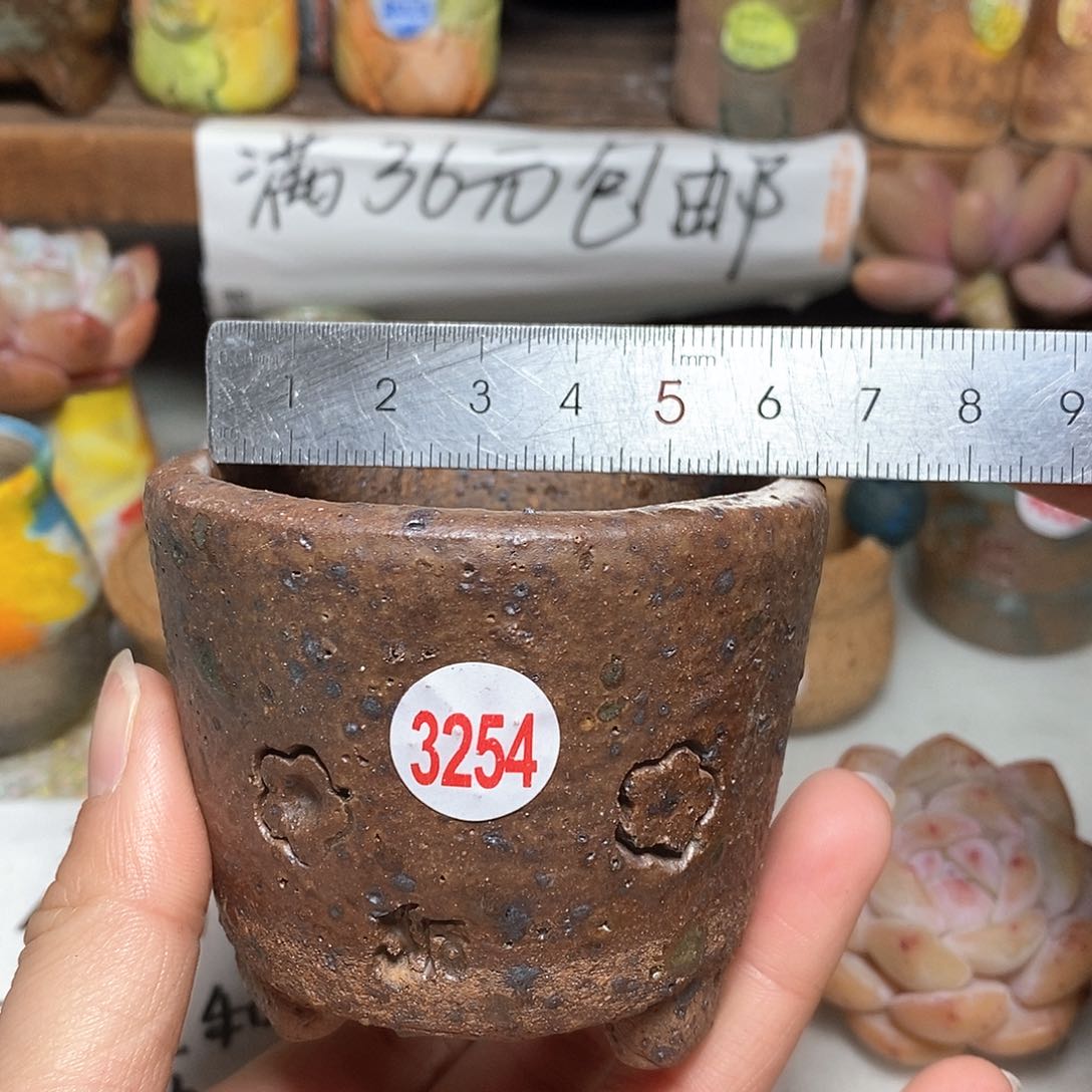 红陶拍5送一个小