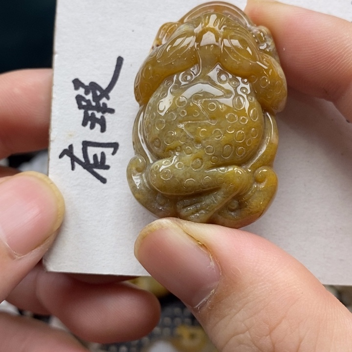 颈饰未镶嵌硅化珊瑚（珊瑚玉）