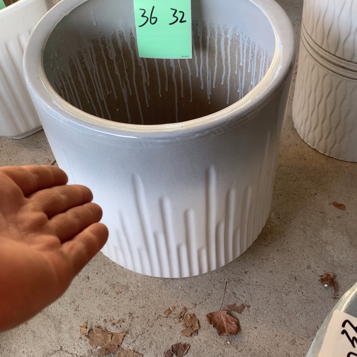 花盆里的小猫咪们都好可爱啊