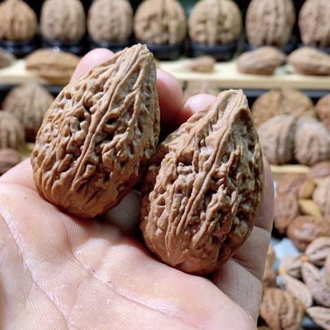 文玩核桃把件闷尖蚂蚁塔