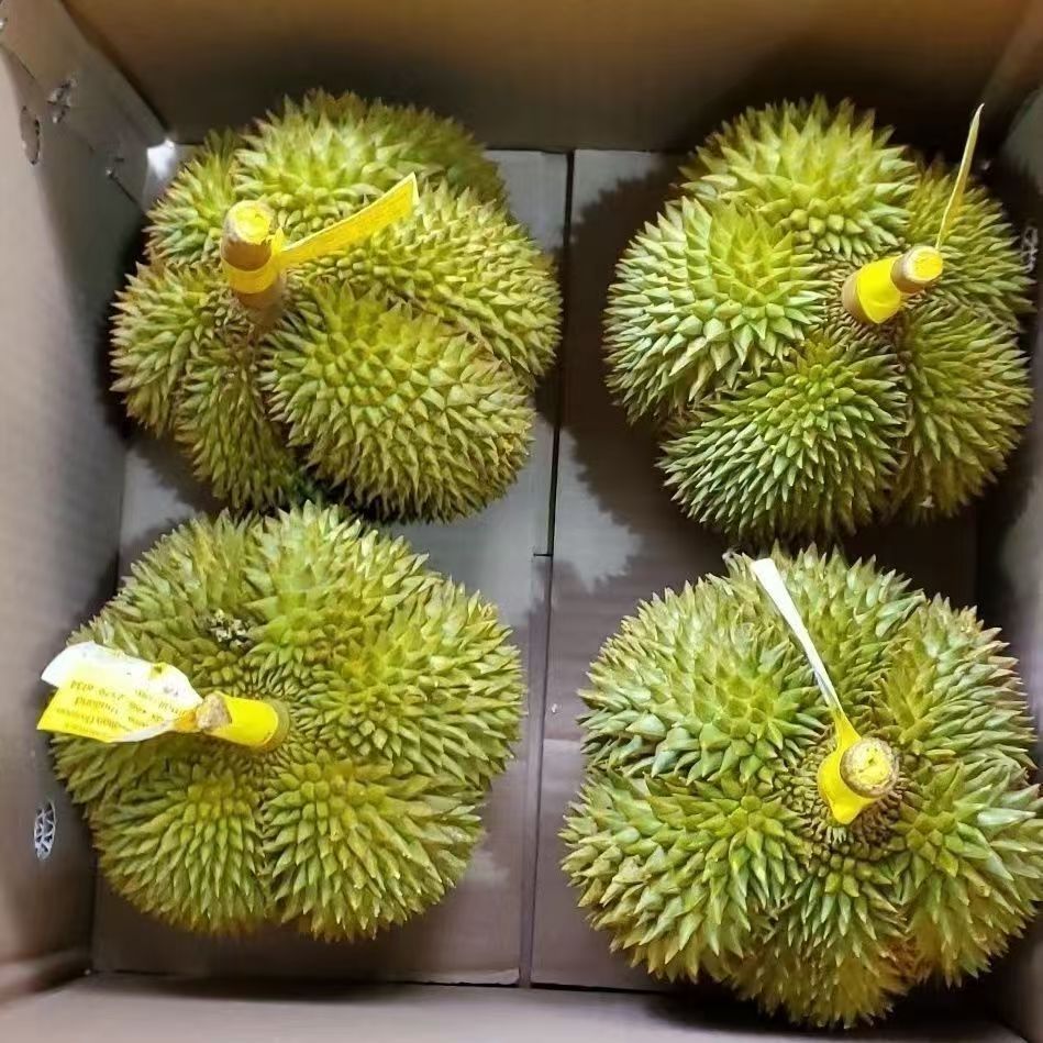 (晨晨)2泰国甲仑新鲜榴莲水果带壳鲜果路上水份流水10%生切没售后