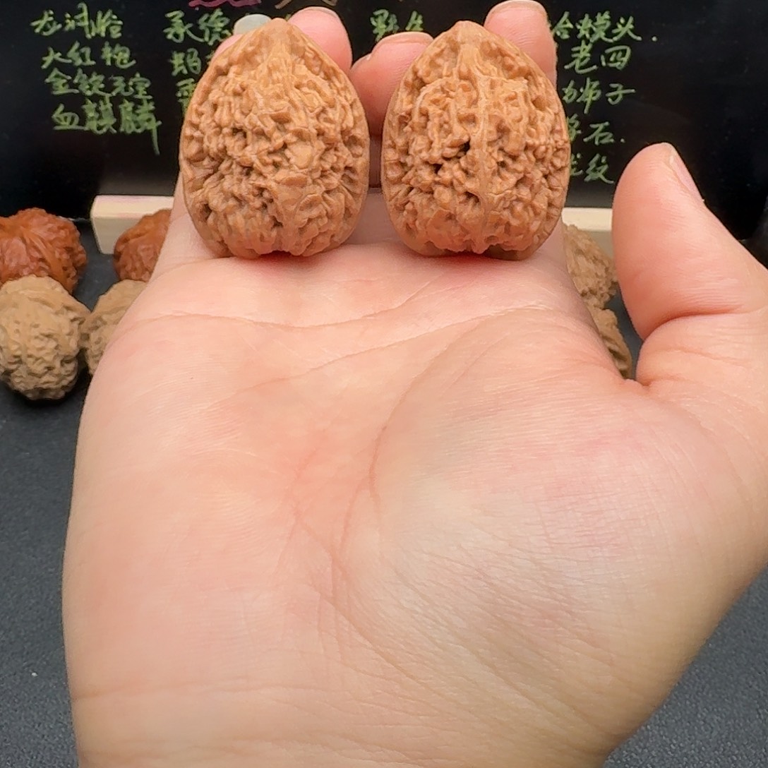 33小众蚂蚁王文玩核桃