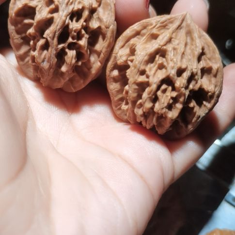 猴头核桃吊坠37盘山三棱