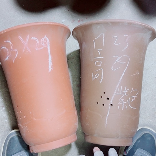 红陶紫砂紫砂紫砂