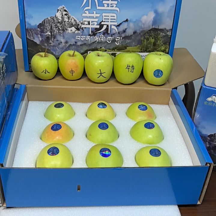 金冠苹果小金苹果
