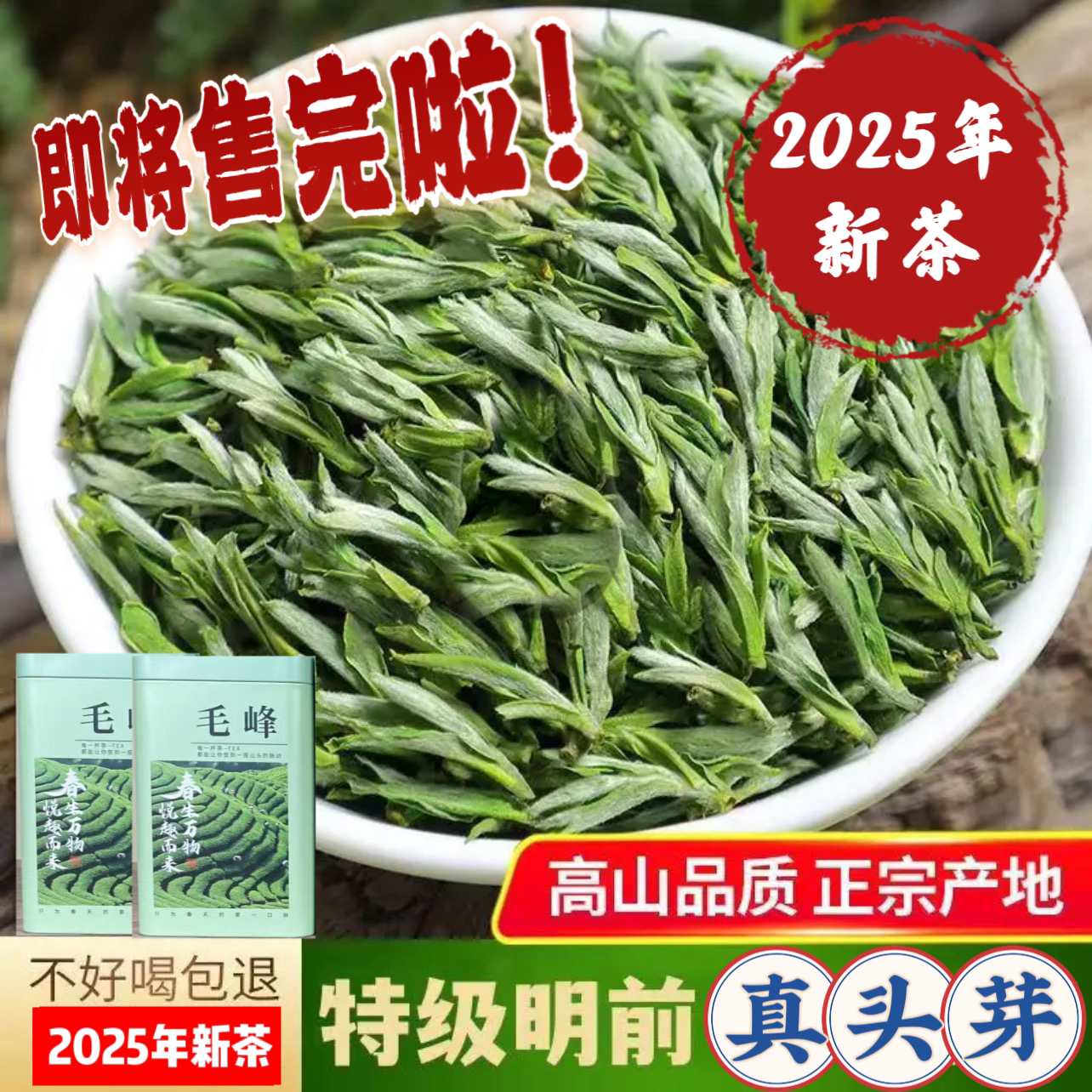 【茗人茶业】2025头春头采毛峰，米粒级别兰花香，不挑口味