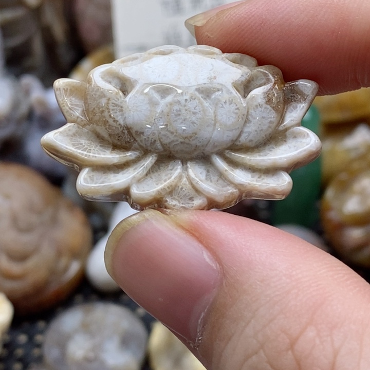 硅化珊瑚（珊瑚玉）颈饰未镶嵌小吊坠