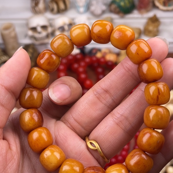 手串/手链驼骨骆驼骨老邢12