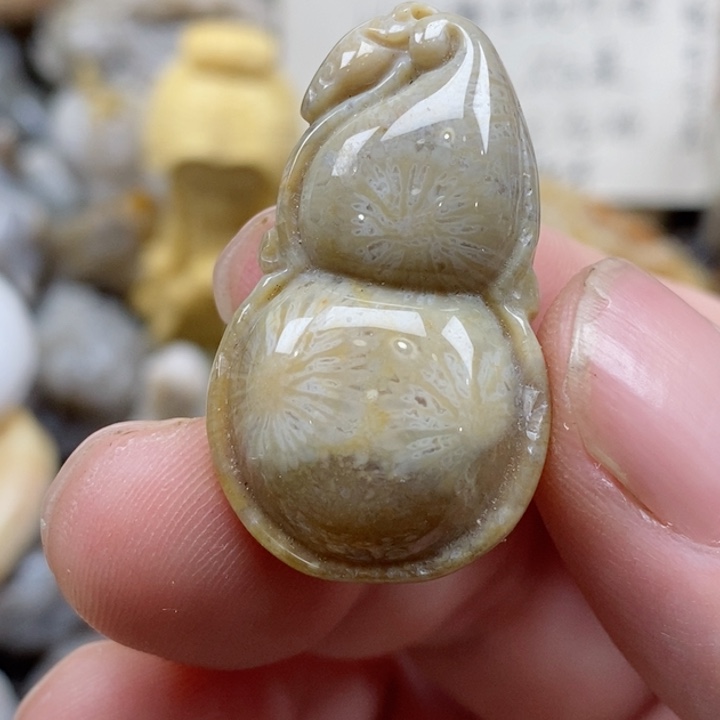 颈饰未镶嵌硅化珊瑚（珊瑚玉）小