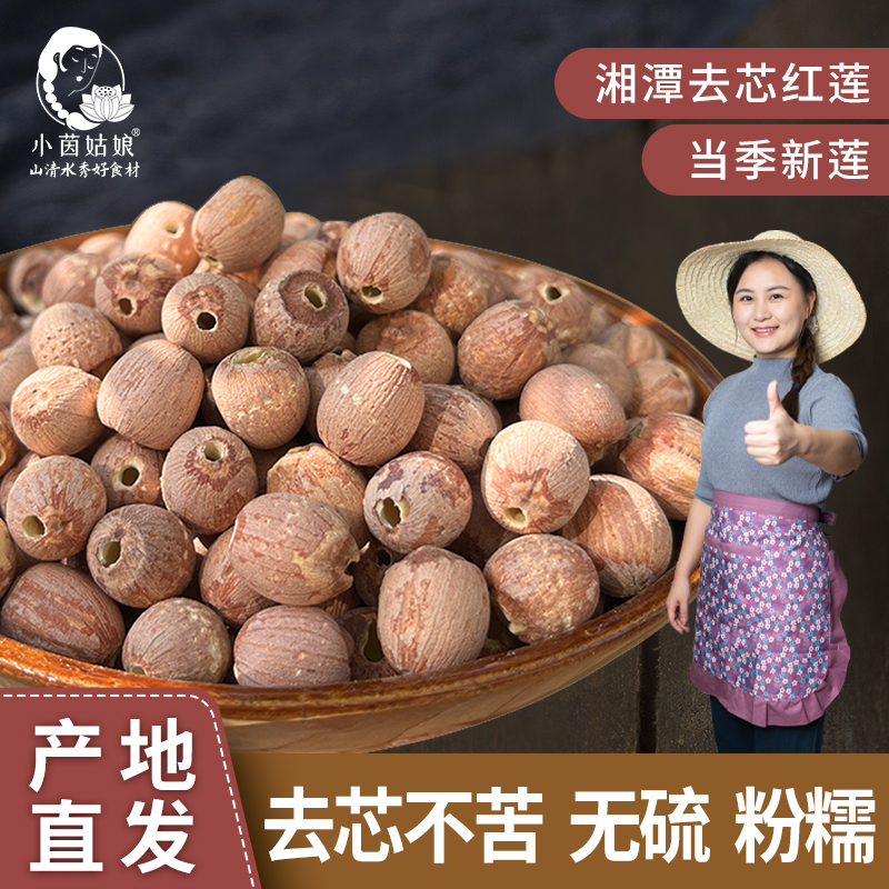 【小茵姑娘】湘潭去芯红莲子500g正宗新鲜干货煲汤煮粥莲藕热饮