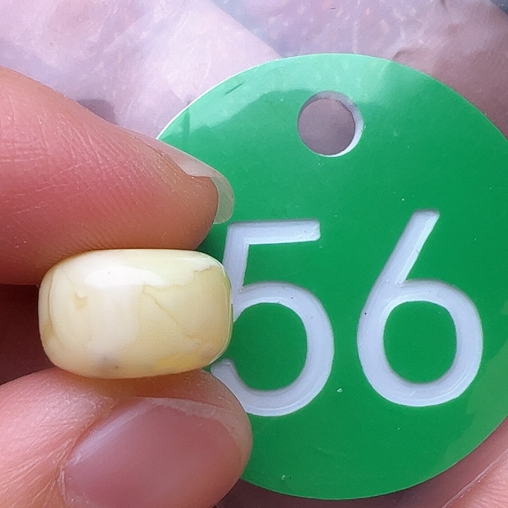 蜜蜡裸石未镶嵌花粉12.5m m