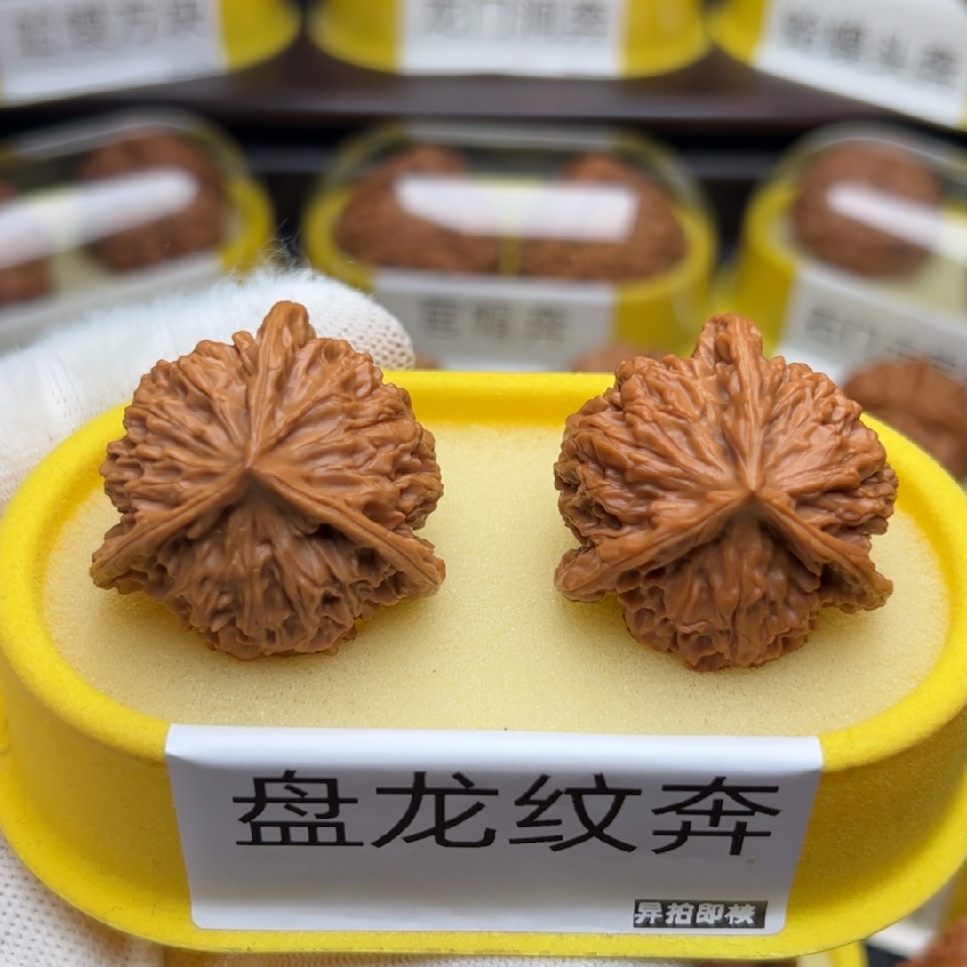 文玩核桃吊坠蟠龙