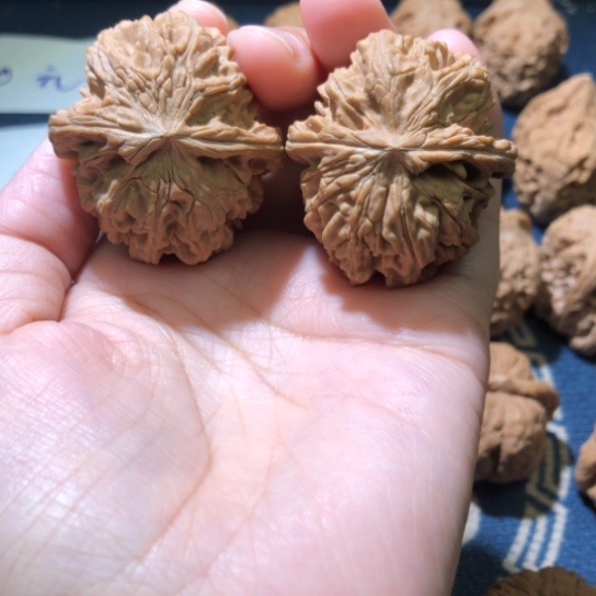 同***喔把件文玩核桃小众核桃