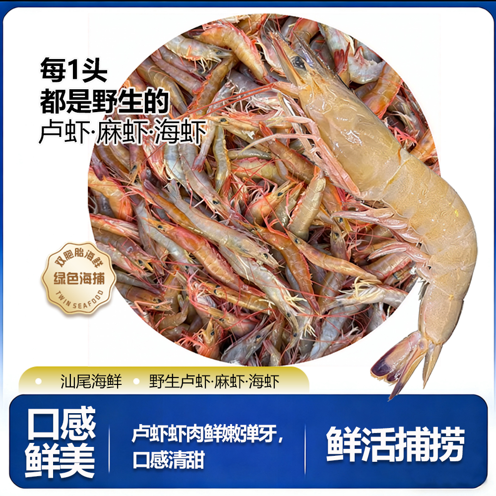 汕尾海鲜【30头左右/斤】海捕本港【活卢虾】 新鲜麻虾海虾