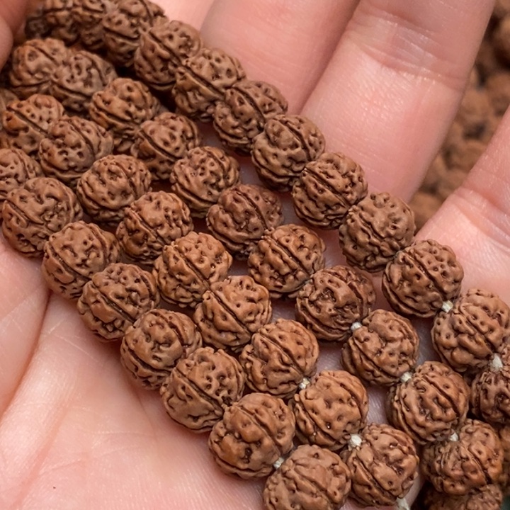 菩提精****）凹底梅花