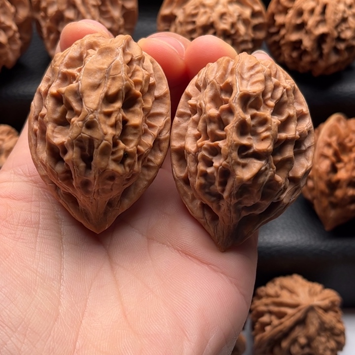 ****n文玩核桃把件蚂蚁纹虫眼